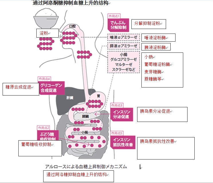 通过阿洛酮糖抑制血糖上升的结构