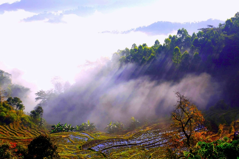 广南县九龙山风景