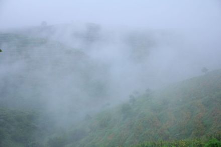 酸角基地