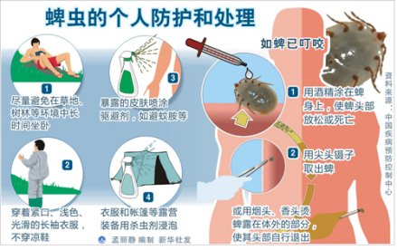 蜱虫的个人防护和处理