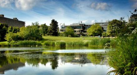 University of Bath