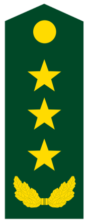 上将