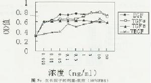 先天性腭裂发生的分子机制