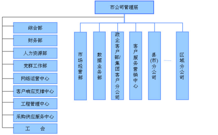 市公司组织结构 