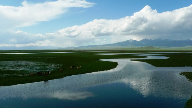 伏尔加河