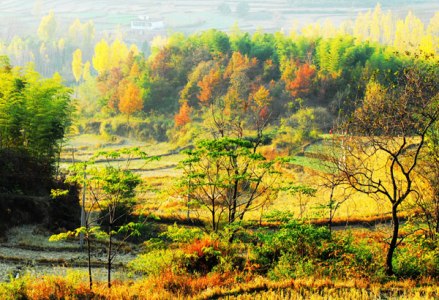 固始美景