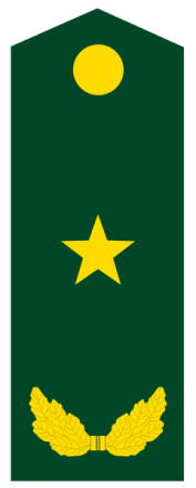 少将