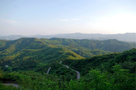 河南大苏山国家森林公园