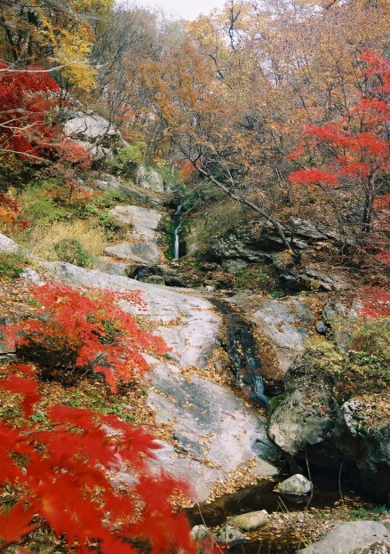 药山风景区