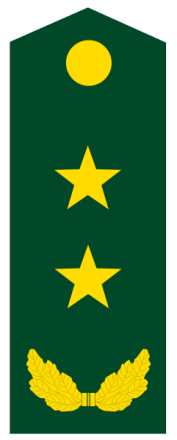 中将