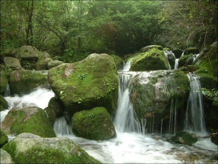 清原红河谷国家森林公园