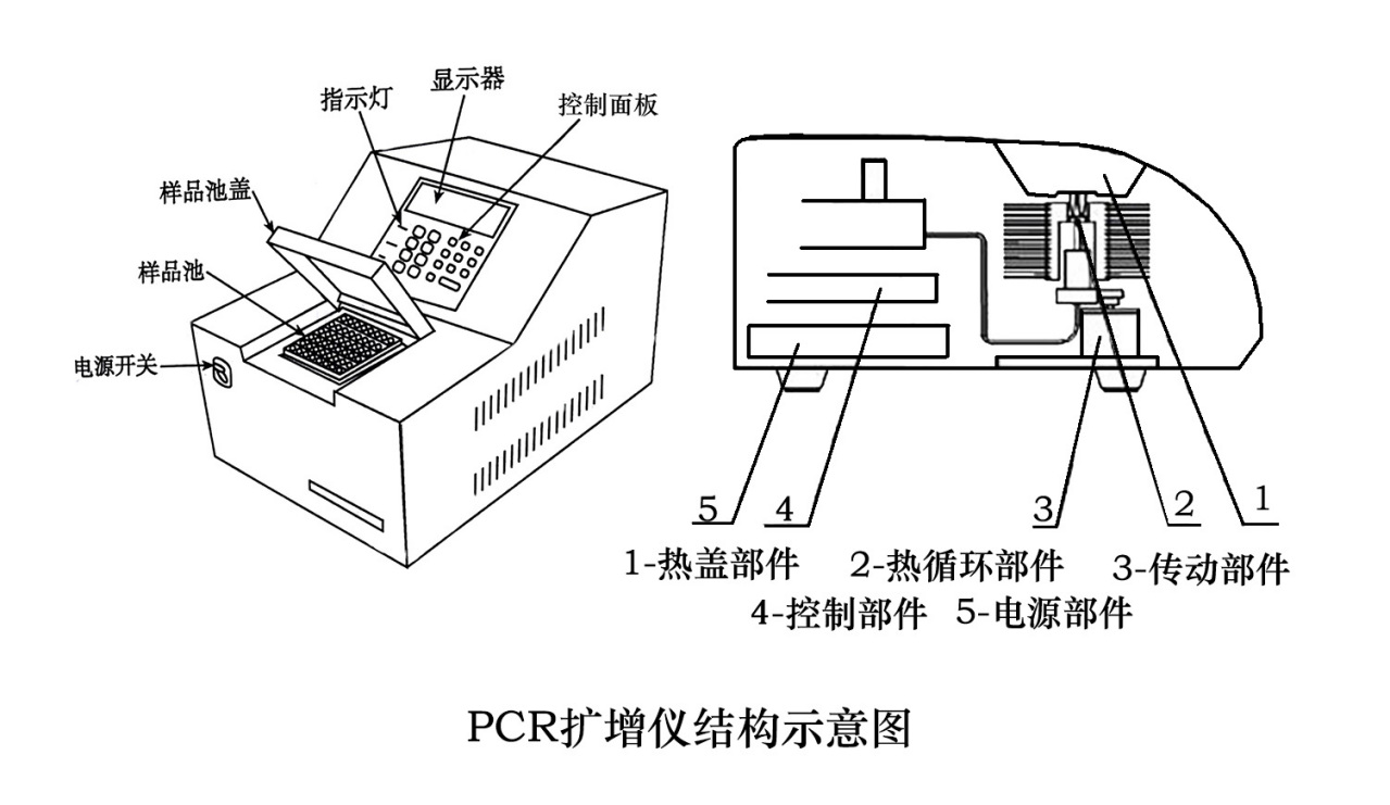 PCR扩增仪结构示意图