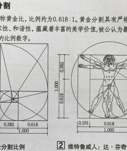                           黄金分割