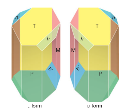 Drawings of tartaric acid crystals 