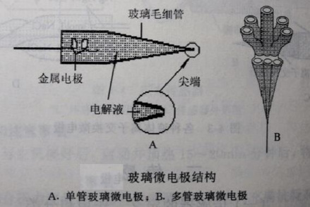 玻璃微电极结构