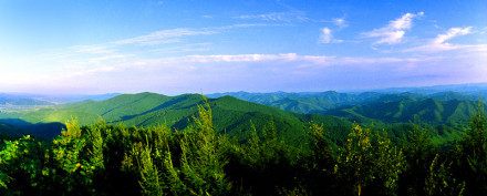 冰山林海