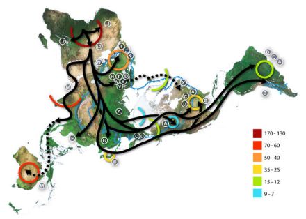 人类迁移线路图