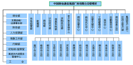 公司组织结构 