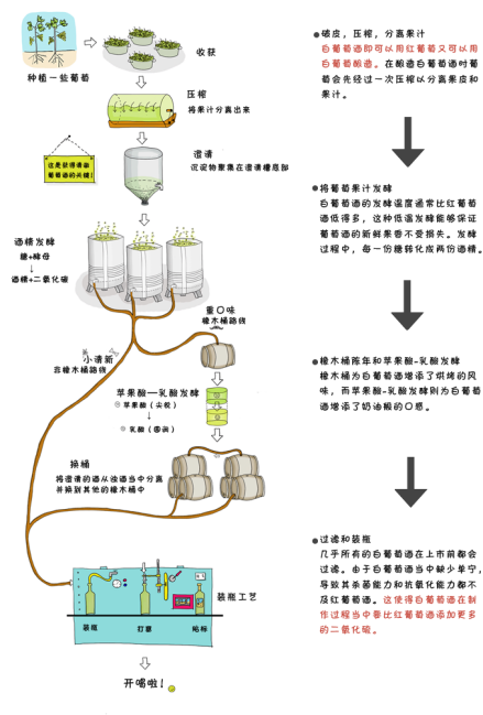 酿造工艺过程