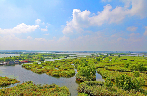 盐城大纵湖旅游景区