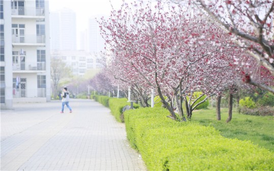 河南推拿职业学院