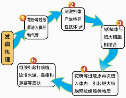 哮喘性支气管炎