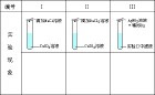 离子反应实验