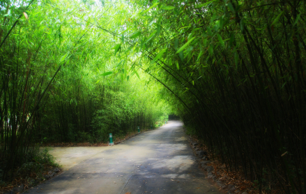 豫西大峡谷风景区