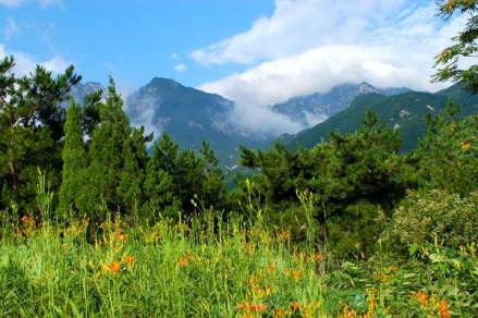 黄柏山银杏园