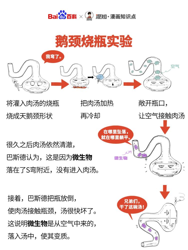 百科x混知：图解鹅颈烧瓶实验