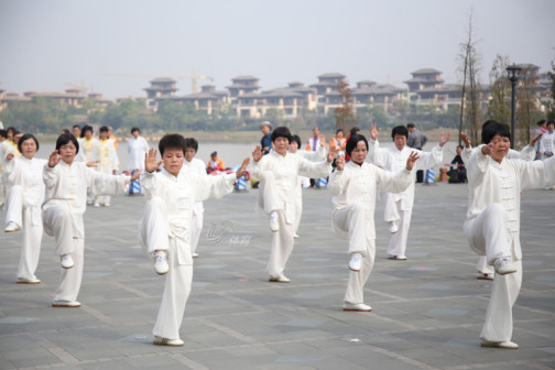 太极武术中，有刚柔兼济之韵