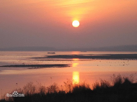 河南黄河湿地国家级自然保护区