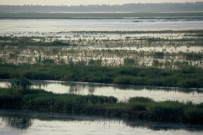 辽宁鸭绿江口滨海湿地国家级自然保护区