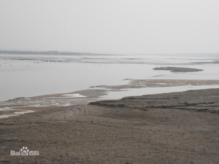 河南黄河湿地国家级自然保护区