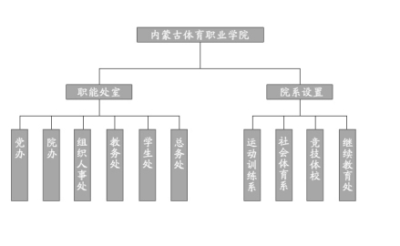 机构设置