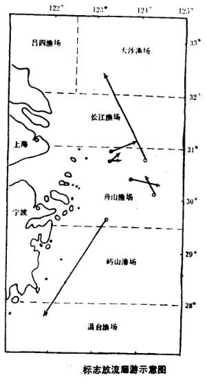 洄游示意图