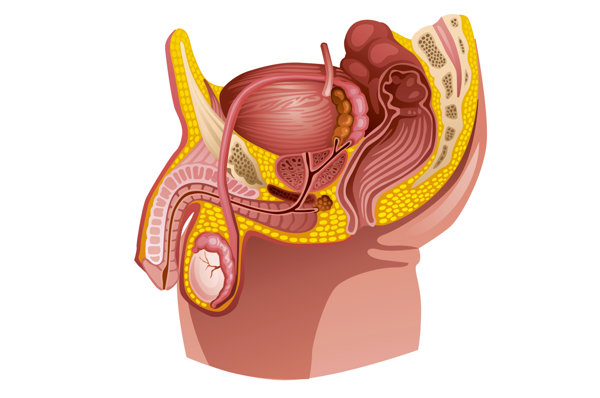 男科疾病前列腺肥大