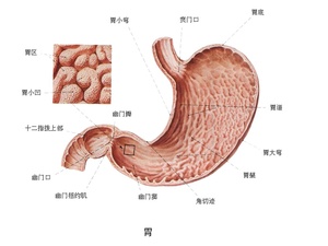 轻度胃癌10个征兆