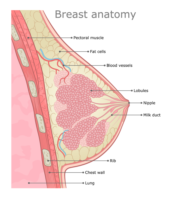 乳腺术后阴道出血正常吗