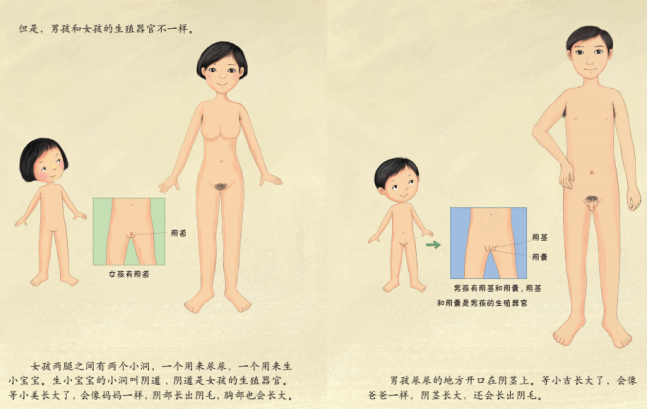 《珍爱生命——幼儿性健康教育绘本》插图