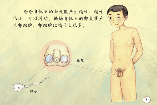 《珍爱生命——幼儿性健康教育绘本》插图