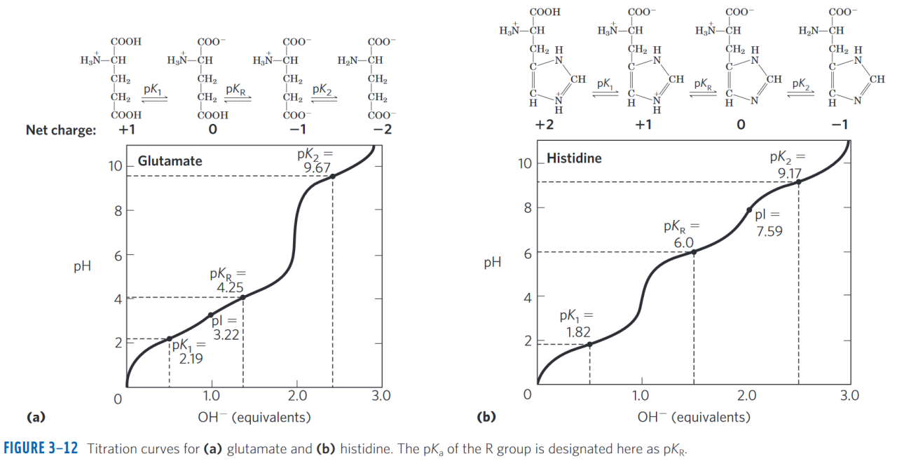 （a）谷氨酸和（b）组氨酸的滴定曲线