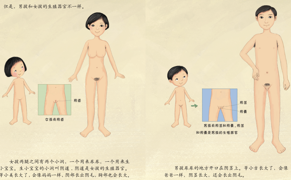 《珍爱生命——幼儿性健康教育绘本》插图