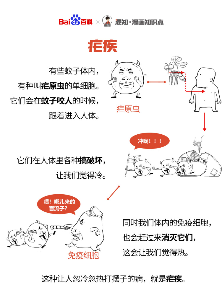 百科x混知：图解疟疾