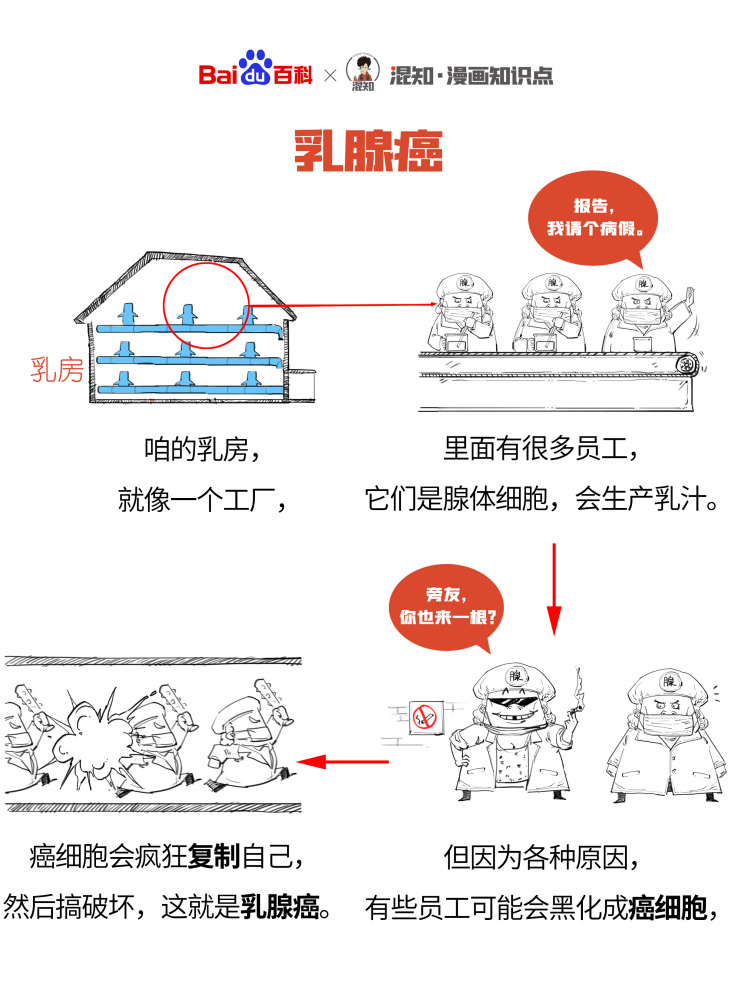 百科x混知：图解乳腺癌