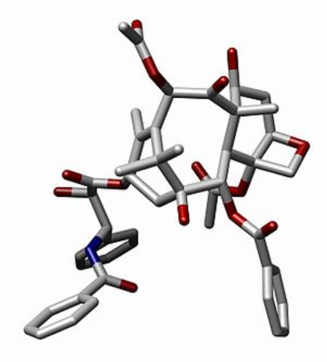 有抗癌活性的(−)-紫杉醇的结构