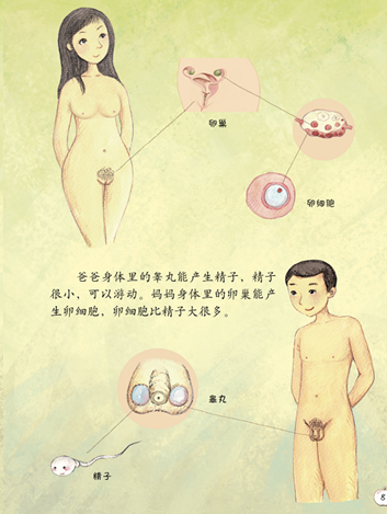 《珍爱生命——幼儿性健康教育绘本》插图