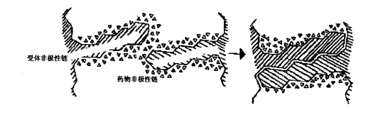 图3 疏水性相互作用示意图