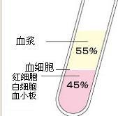 血液成分（加入抗凝剂）