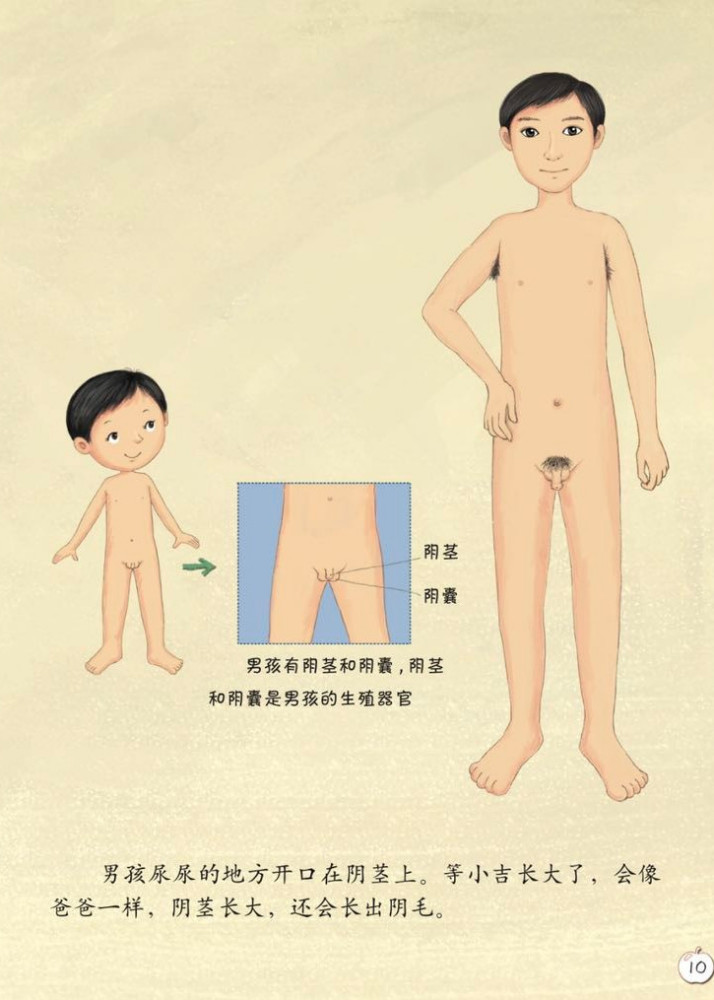 《珍爱生命——幼儿性健康教育绘本》插图